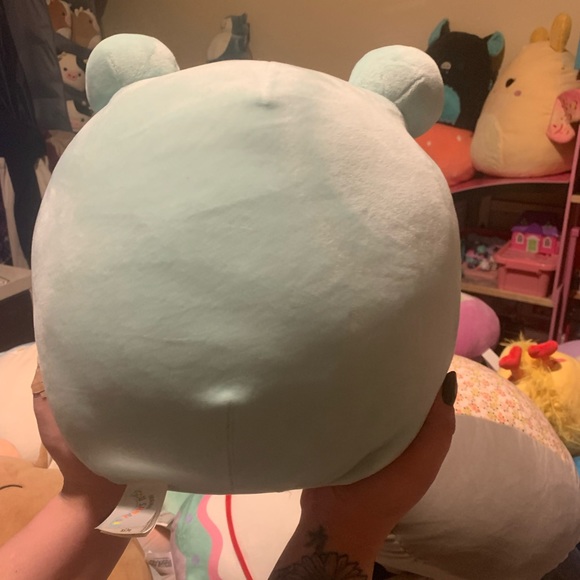 Fritz the frog floral belly squishmallow NWT - Picture 2 of 2